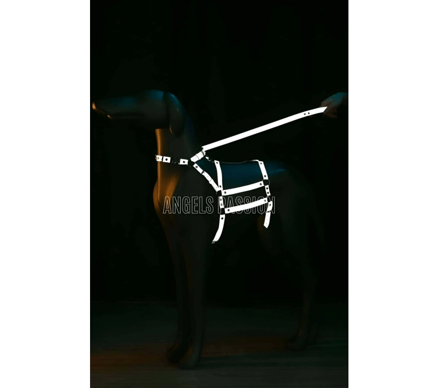 Reflektörlü - Ayarlanabilir Köpek Harness - Köpek Gezdirme Aparatı - Npd007