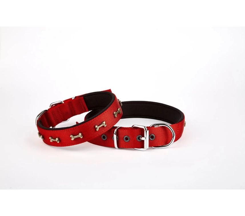 Softlu Kemik Desenli Köpek Tasması 2 cm x 40 cm Kırmızı
