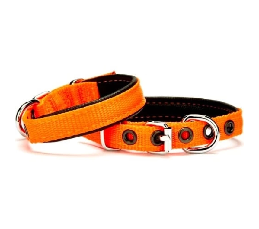 Softlu Köpek Boyun Tasması 1,5 cm x 30 cm Turuncu