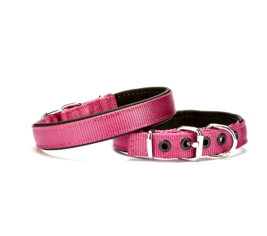 Softlu Köpek Boyun Tasması 1,5 cm x 35 cm Mor