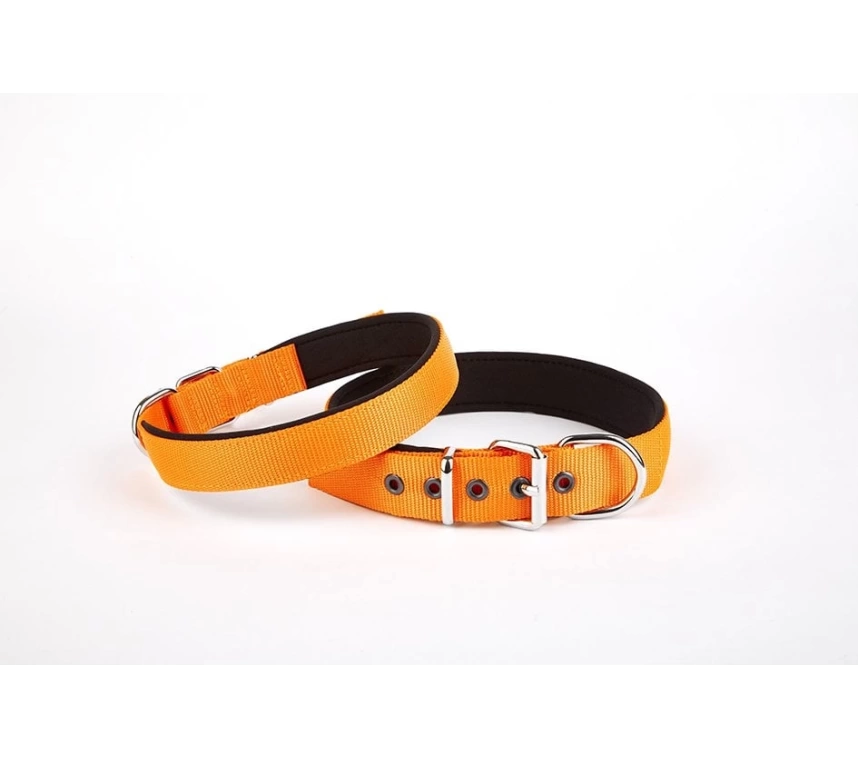 Softlu Köpek Boyun Tasması 3 cm x 55 cm Turuncu