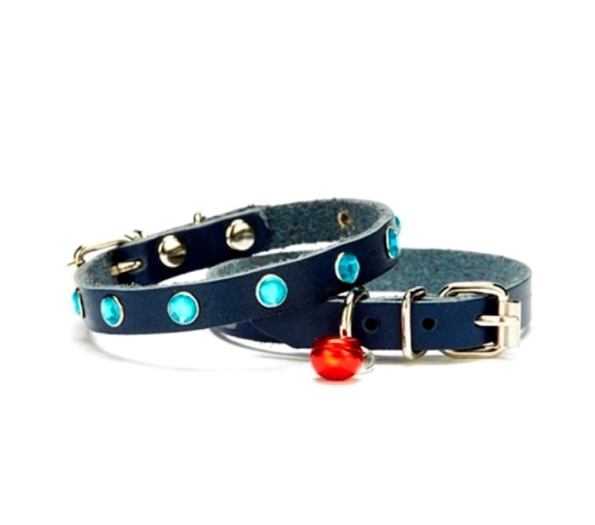 Taşlı Kedi ve Yavru Köpek Tasması 1*23 cm Mavi Medium