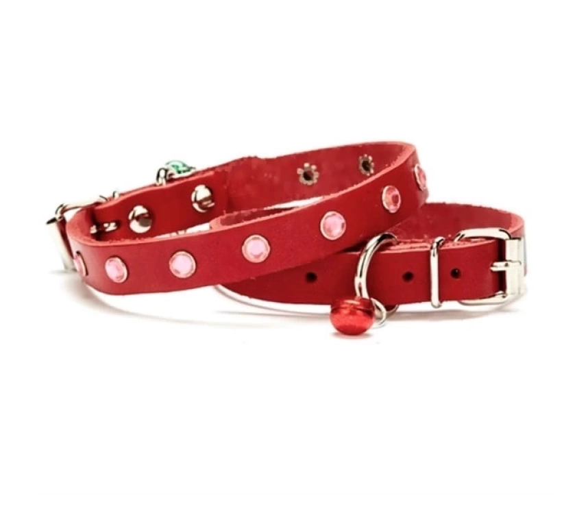 Taşlı Kedi ve Yavru Köpek Tasması 1,0x19 cm Kırmızı Small