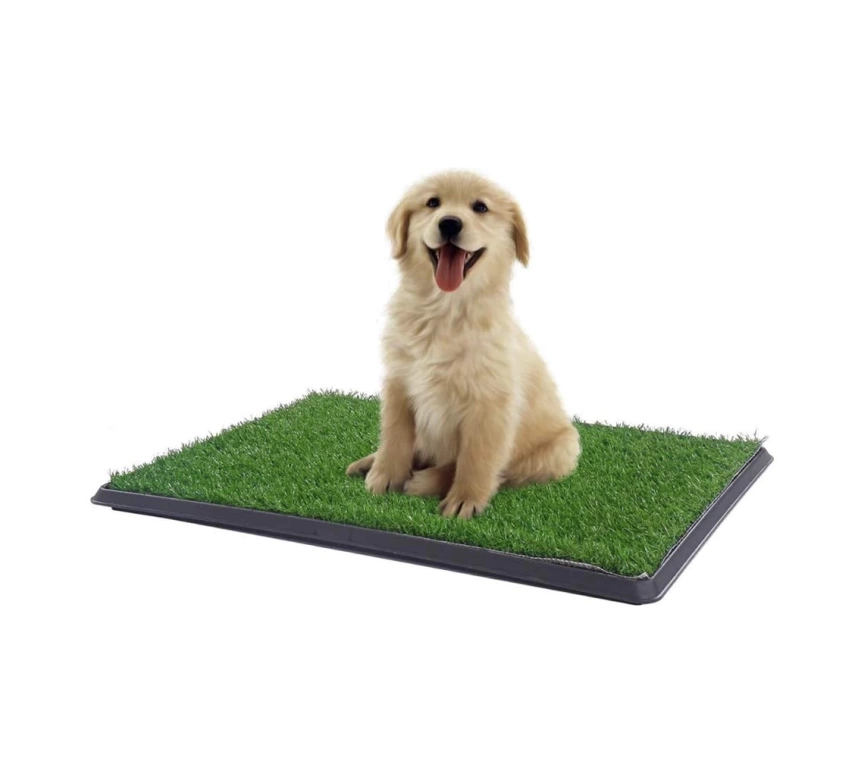 Yavru Köpek Tuvalet Eğitim Parkı 3 Katmanlı - 45Cm x 32 Cm