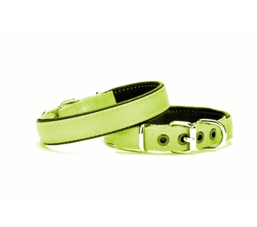 Yumuşak Doku Köpek Boyun Tasması 2/45 cm Yeşil