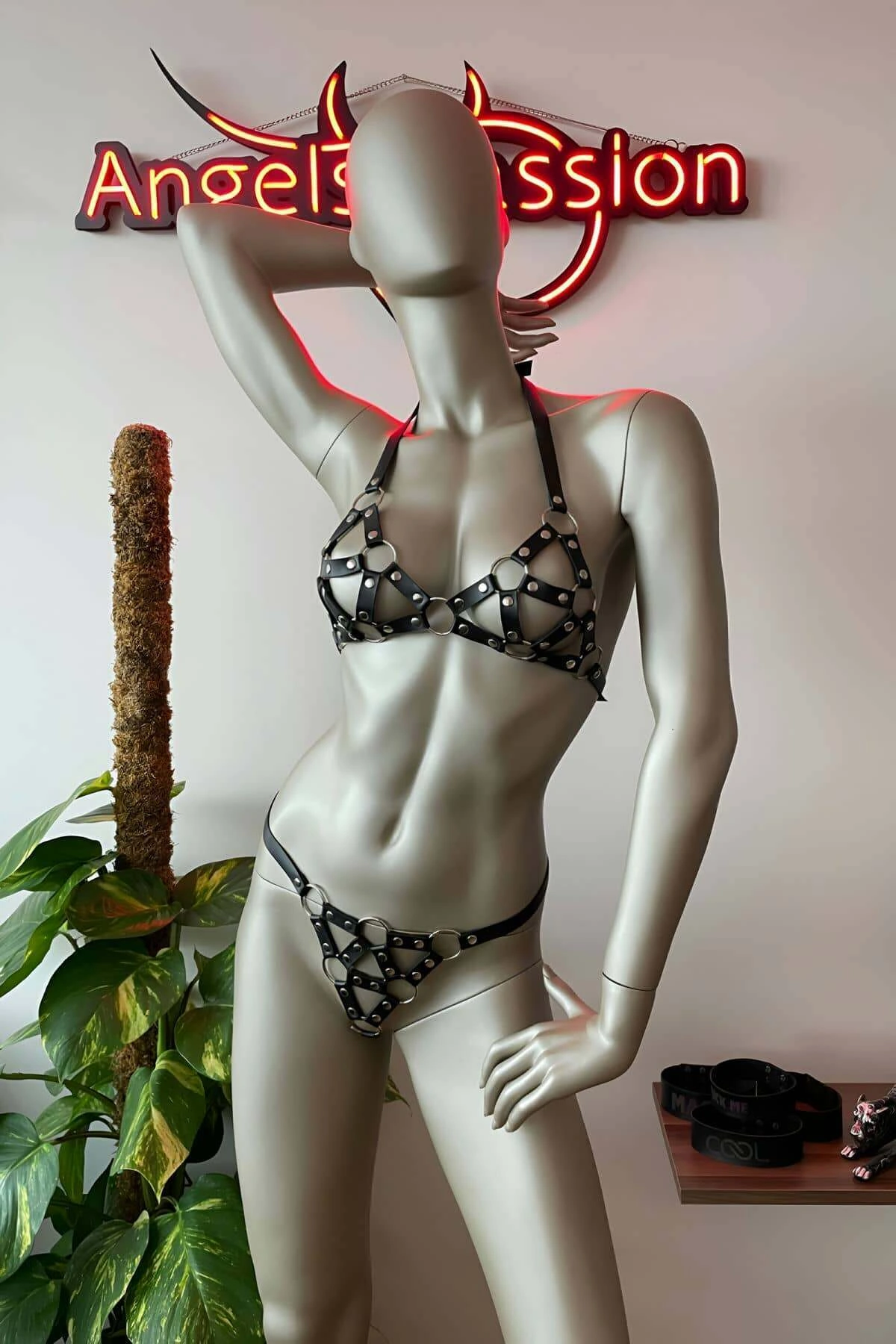 Bayan İç Giyim Deri Sütyen Takım - Brf422