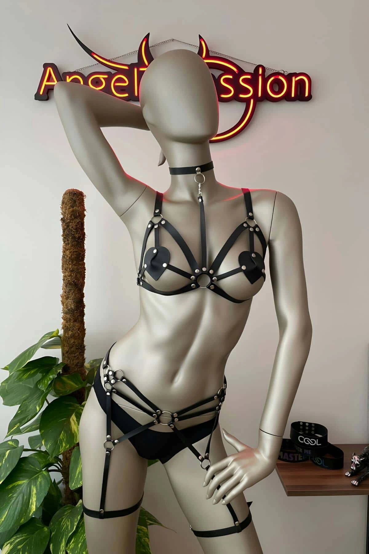 Deri Jartiyer Siyah Harness Takım - Brf451