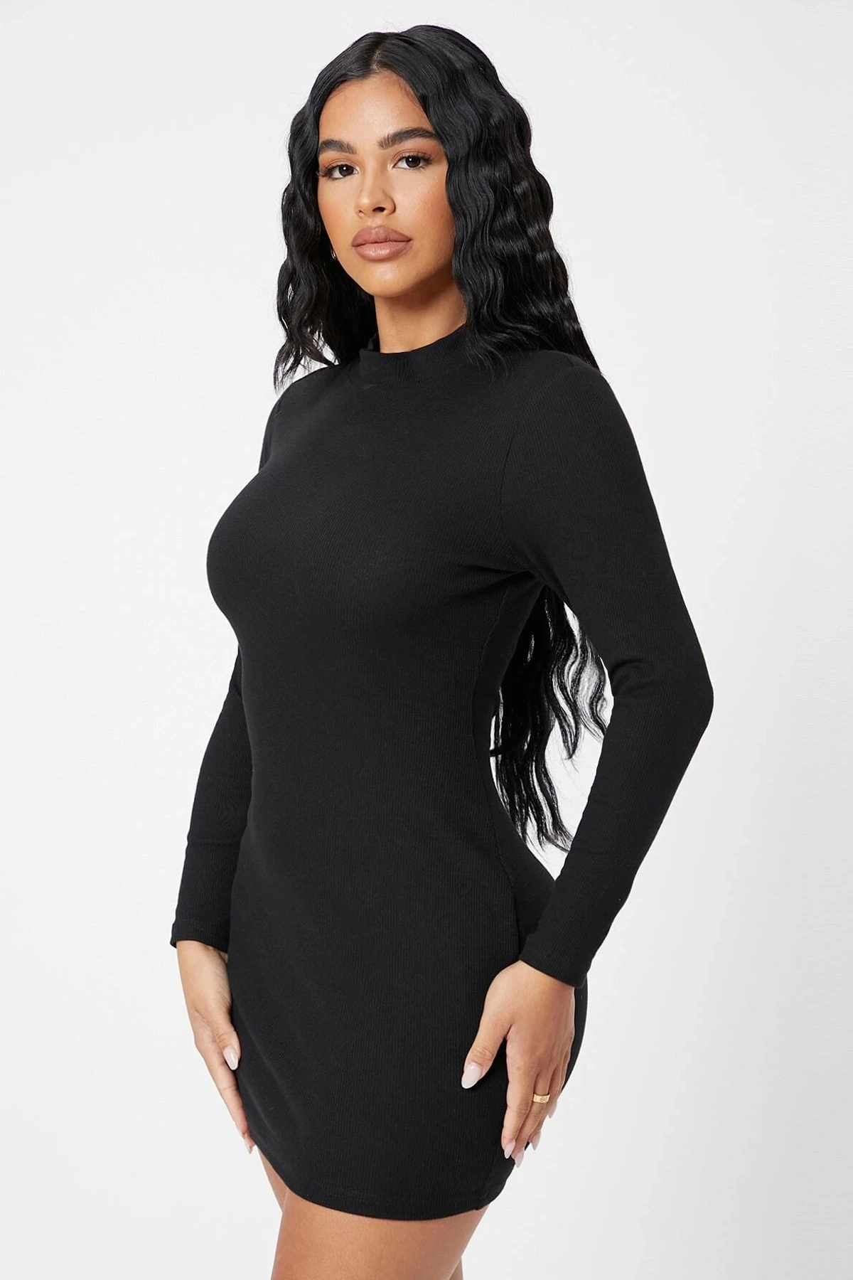 Kadın Siyah Kaşkorse Balıkçı Yaka Uzun Kollu Bodycon Mini Elbise