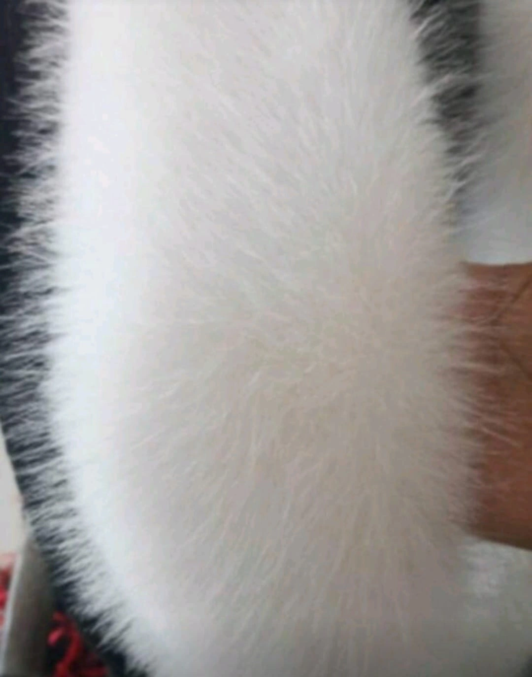 Kürk Orijinal Beyaz Seksi Omuzluk Şık Kürk