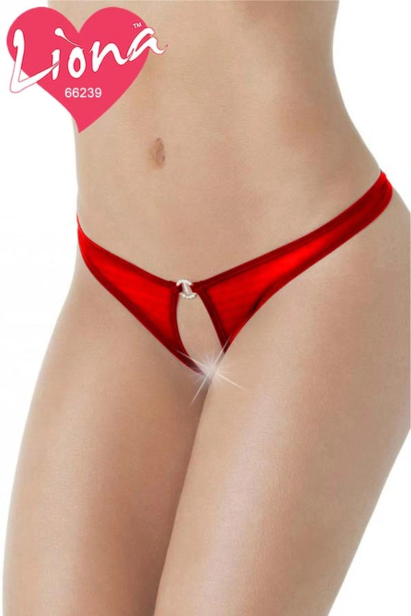 Lesca Lesca Taşlı Büyük Beden Seksi Külot