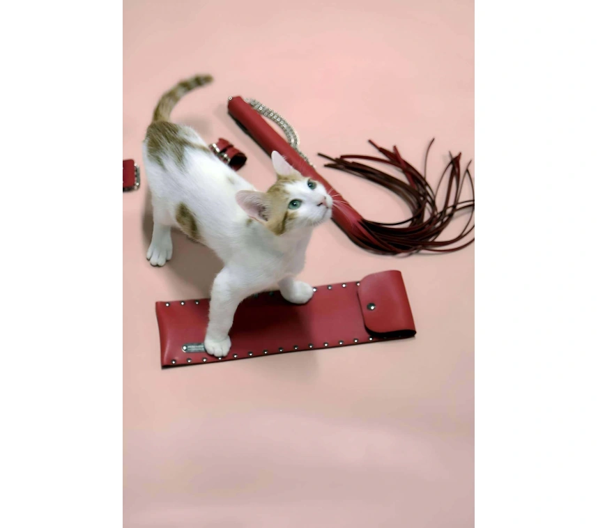 Kırbaç - Kelepçe Set, Kırbaç Takım, Fantezi Kelepçe Takım - Brf1304