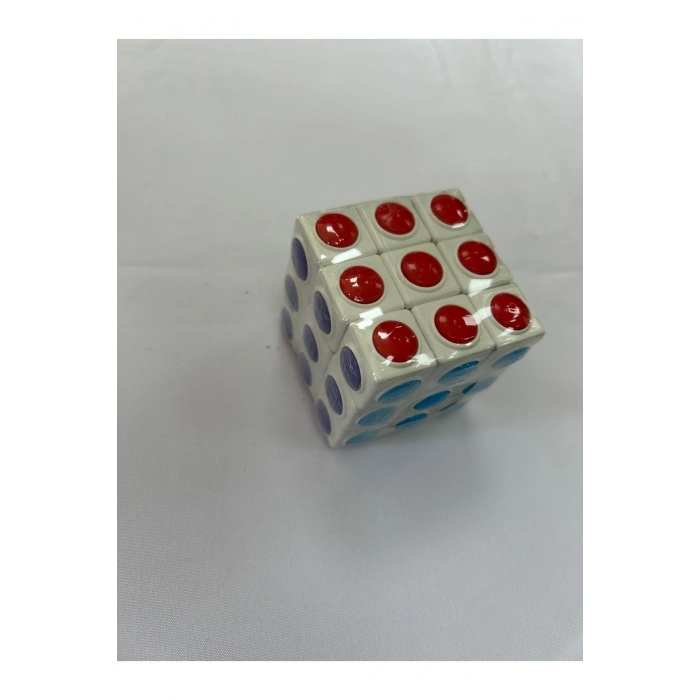 ZEKA KÜPÜ SİSTEMATİK