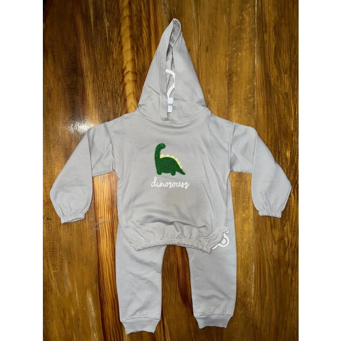 6-24 aylık araba baskılı takım gri