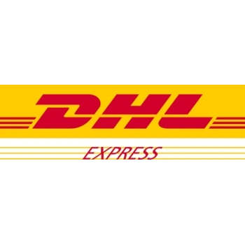 International Shipping Payment DHL