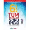 BİLAL IŞIKLI YAYINLARI 6 SINIF TÜM DERSLER SORU BANKASI