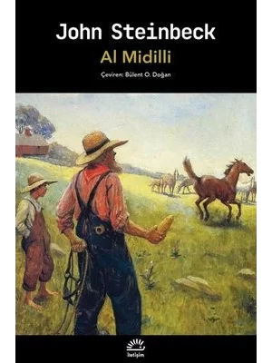 Al Midilli İletişim Yayınları