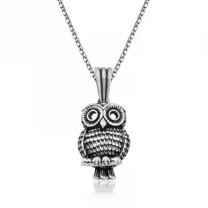 ​gümüş Baykuş Kolye