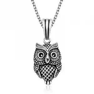 ​gümüş Baykuş Kolye