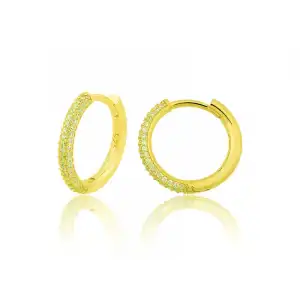 Gümüş Gold Halka Kadın Küpe