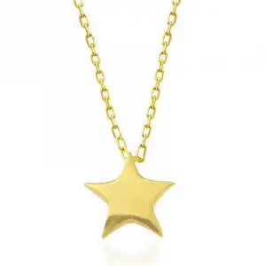 Gümüş Gold Yıldız Kadın Kolye