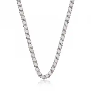 Gümüş Pullu Arpa Zincir