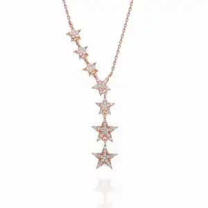 Gümüş Rose Kayan Yıldızlar Bayan Kolye