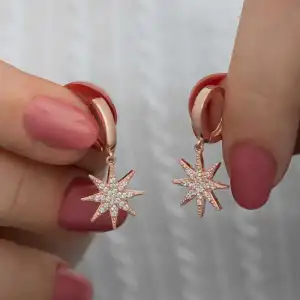 Gümüş Rose Sallantılı Kutup Yıldızı Kadın Küpe