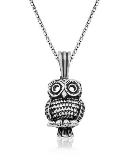 ​gümüş Baykuş Kolye