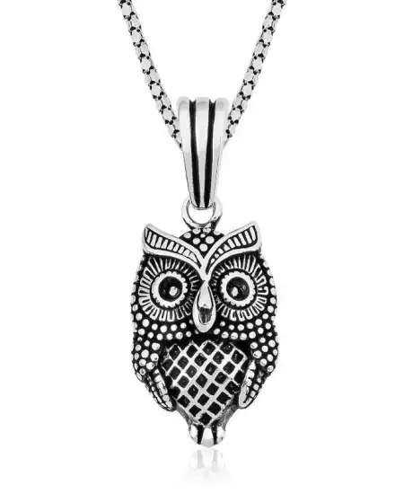 ​gümüş Baykuş Kolye