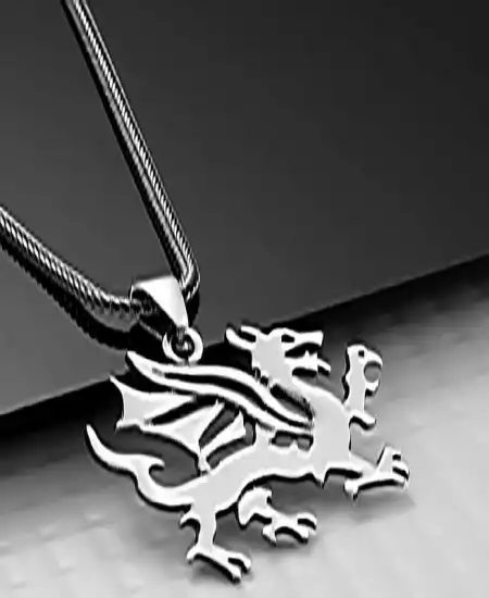 Gümüş Ejderha Erkek Kolye