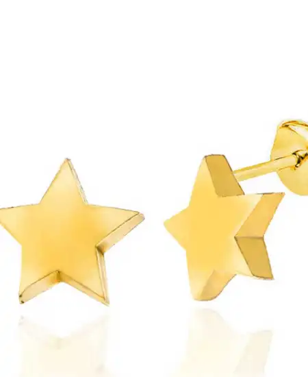 Gümüş Gold Yıldız Çivili Kadın Küpe