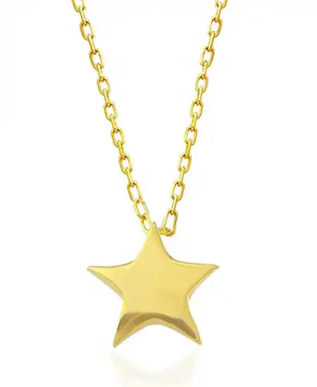Gümüş Gold Yıldız Kadın Kolye
