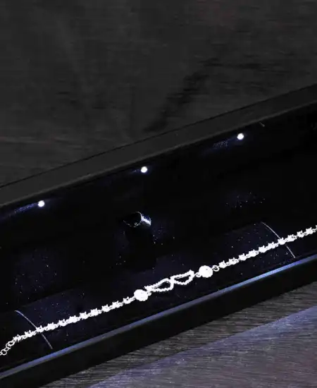 Gümüş Işıklı Kutulu Melek Kanadı Kadın Bileklik