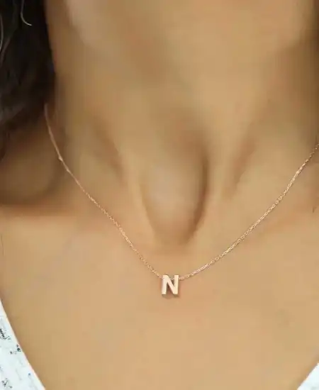 Gümüş Rose 3 Boyutlu N Harf Bayan Kolye