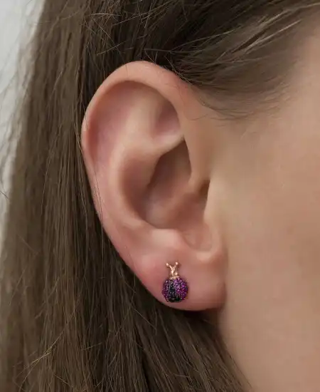 Gümüş Uğur Böceği Küpe