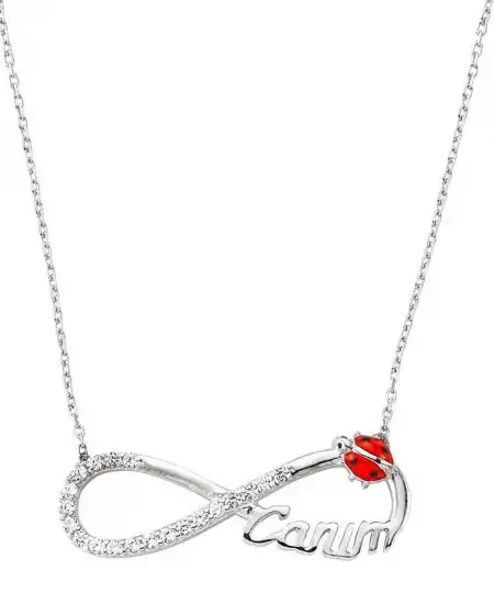 Gümüş Uğur Böcekli Sonsuzluk Canım Bayan Kolye