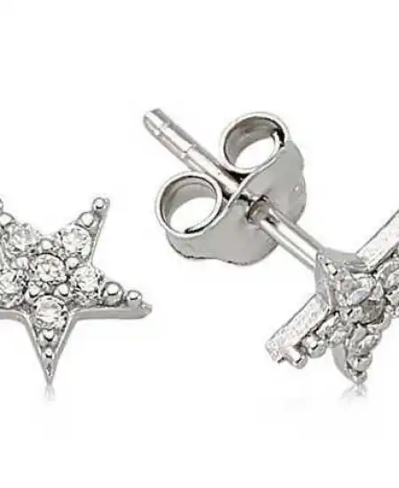 Gümüş Yıldız Çivili Küpe