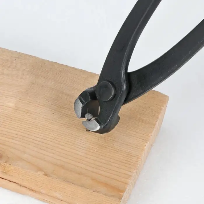 WORKPRO WP231123 250mm CR-V Profesyonel Betoncu Kerpeteni