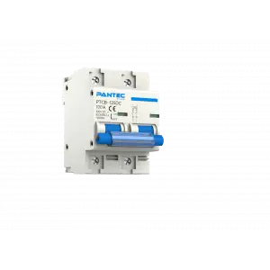 100A 125V DC SİGORTA
