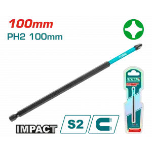 DARBELİ 100MM PH2 BİTS UÇU KARTELALI