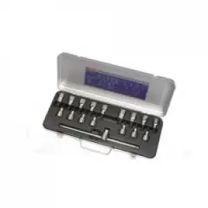 İzeltaş 1113006017 1/2 Lokmalı Allen ve Star (Torx®) Uç Takımı 17 Parça