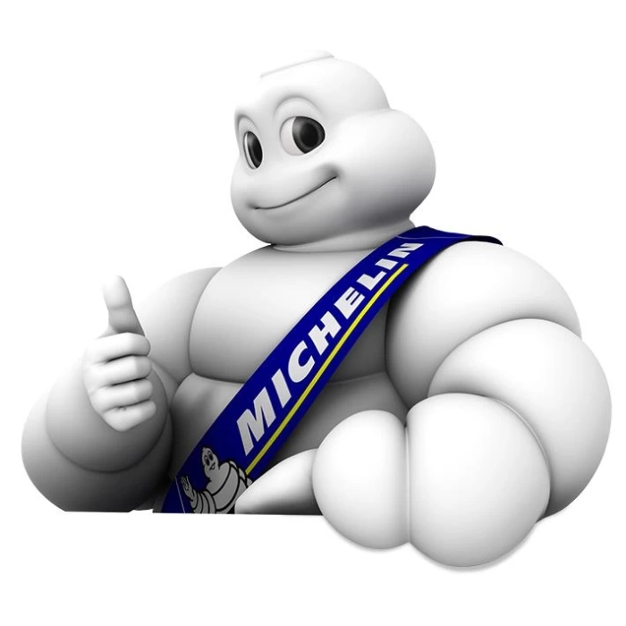 Michelin MC12208 Dijital Basınç Göstergeli Ayak Pompası