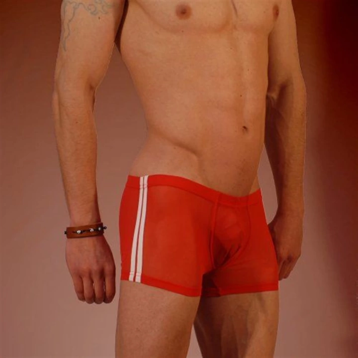 Beruflic Br030918 Beruflic Erkek  Boxer Çamaşır