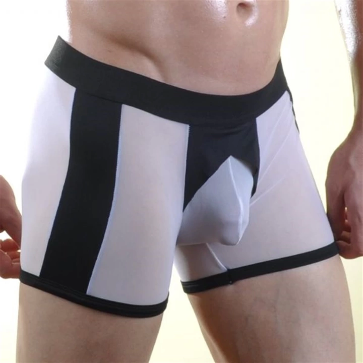 Beruflic Br071028 Beruflic Erkek  Boxer Çamaşır