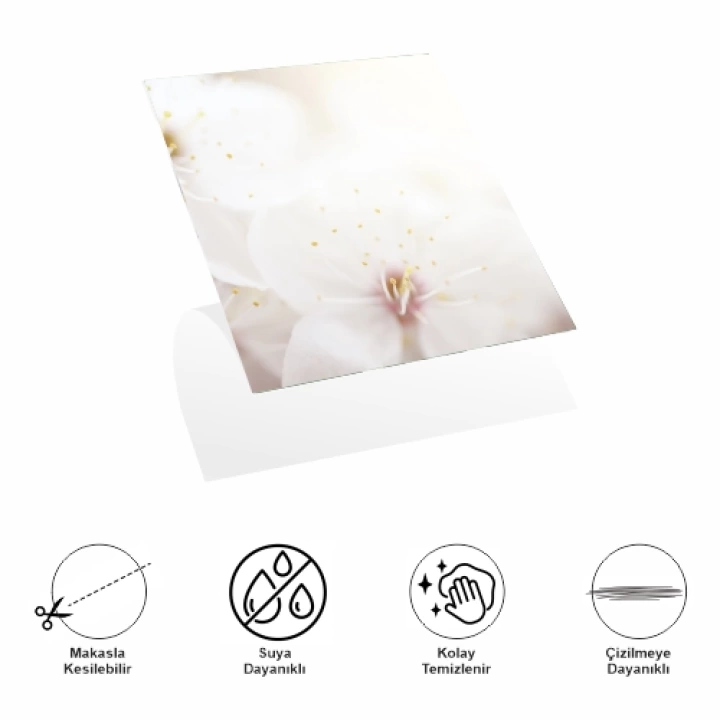 Decohandy 30x30 Cm Pvc Duvar Karosu 4Lü Paket - Japon Çiçeği