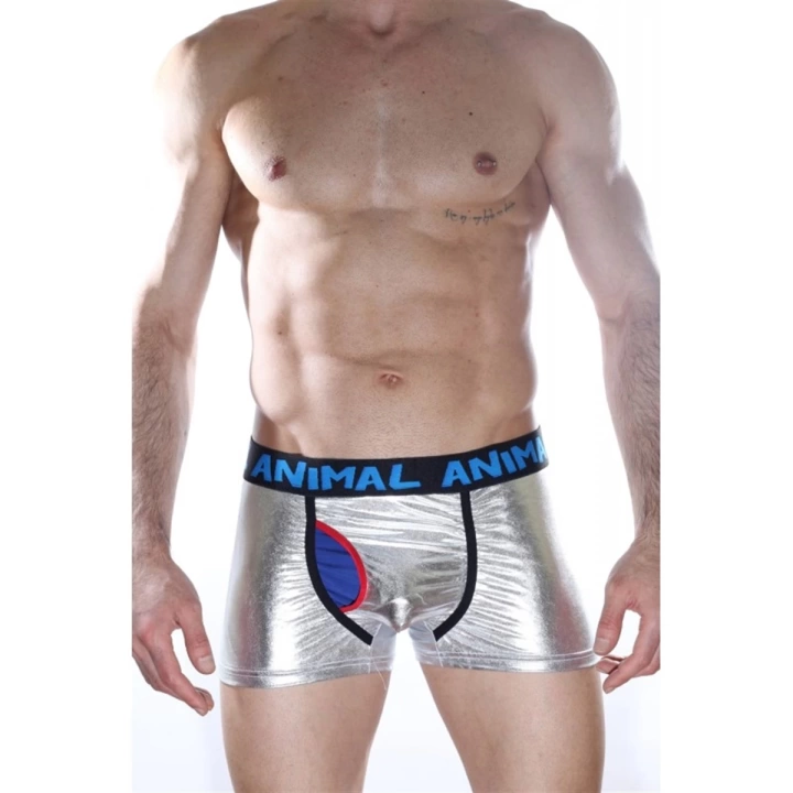 Fantezi Beruflic Erkek  Boxer