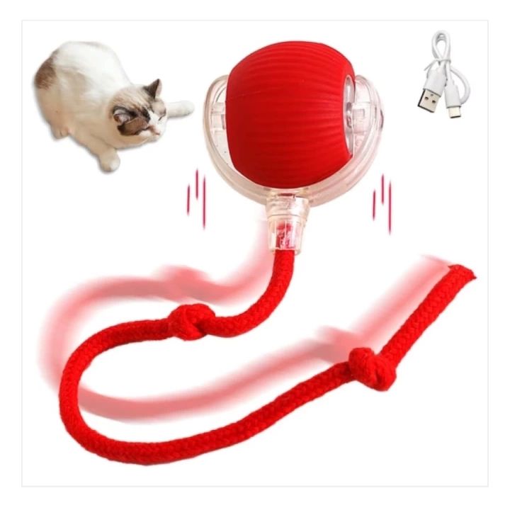 Otomatik Hareketli Kedi Oyuncağı