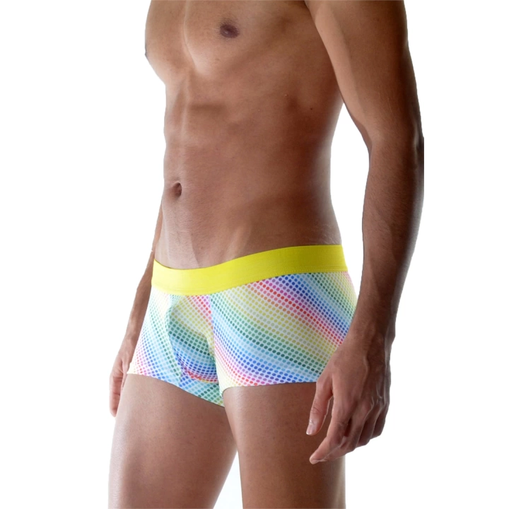 Renkli Boxer