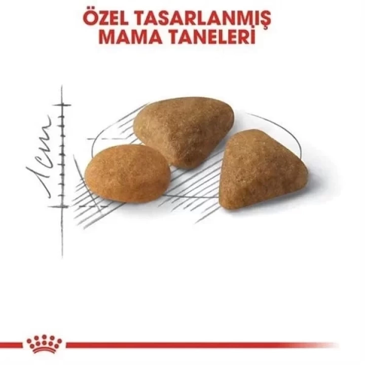 Royal Canin Exigent Savour Seçici Yetişkin Kedi Maması 10 Kg