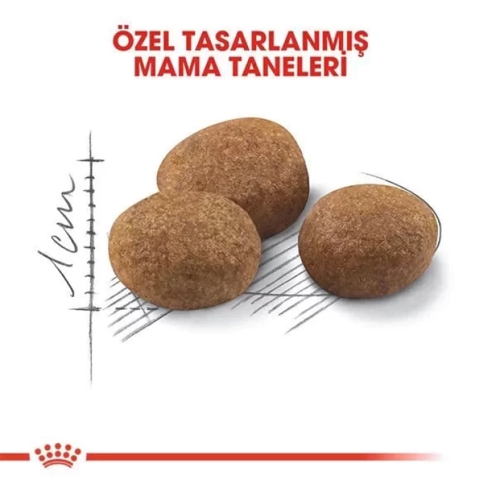 Royal Canin Sterilised 7+ Kısırlaştırılmış Kedi Maması 3.5 Kg